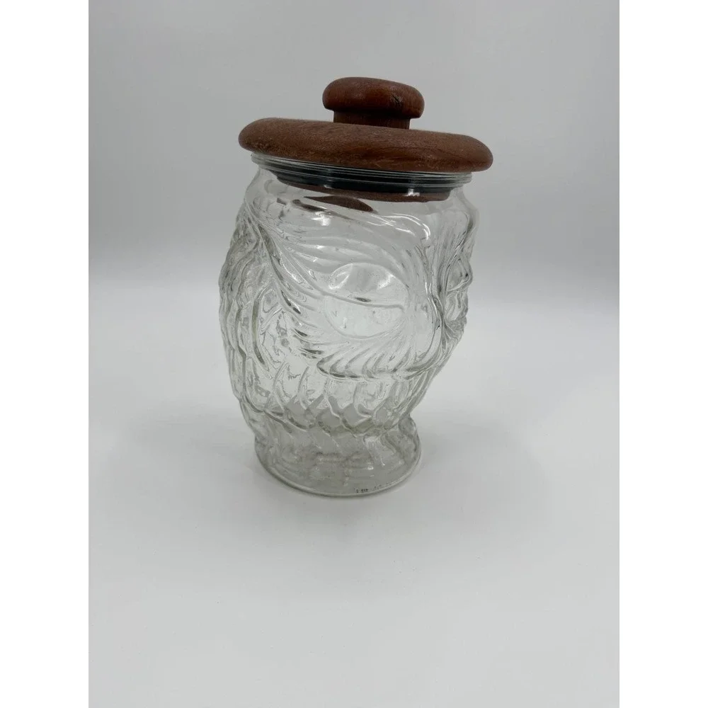 Vintage 70s Whimsical Glass Owl Kitchen Canister Storage Cookie Jar Teakwood Lid